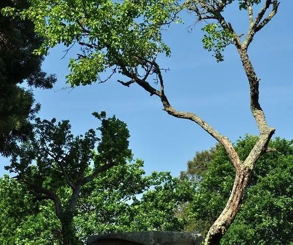 Casa de Férias Angelas - Casa Da Galega