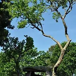 Ferienhaus Angelas - Casa Da Galega