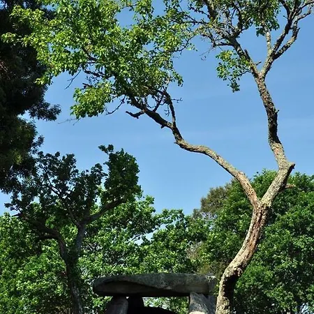 Hébergement de vacances Angelas - Casa Da Galega